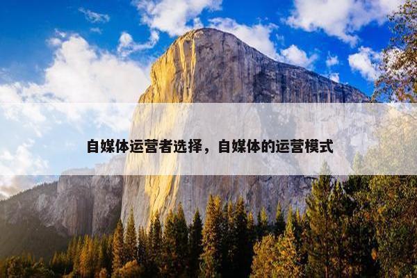 自媒体运营者选择，自媒体的运营模式
