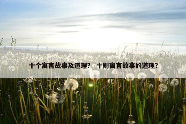 十个寓言故事及道理？ 十则寓言故事的道理？