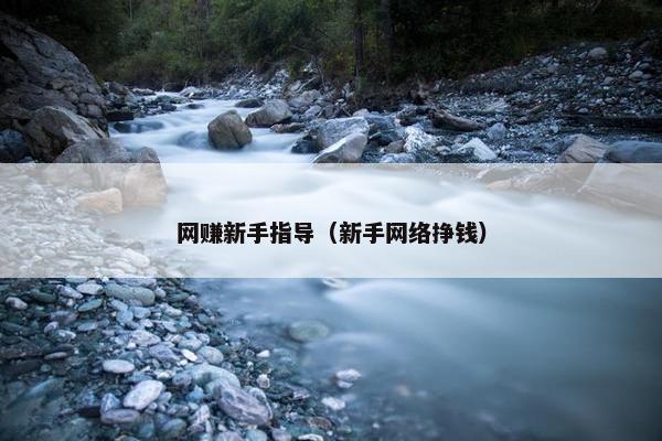 网赚新手指导（新手网络挣钱）