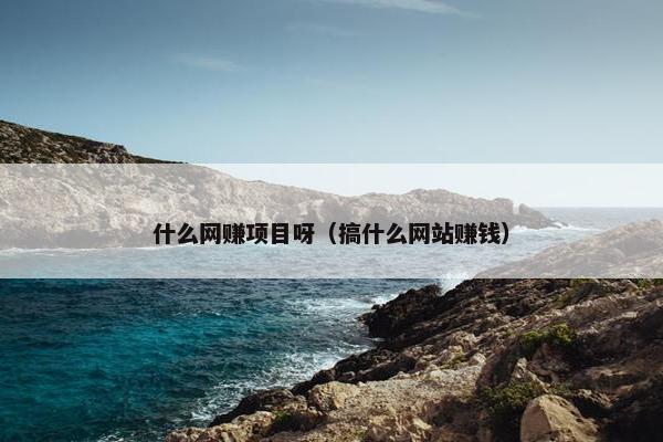 什么网赚项目呀（搞什么网站赚钱）