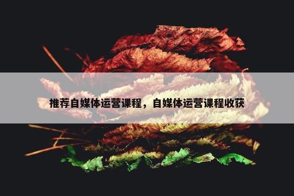 推荐自媒体运营课程，自媒体运营课程收获