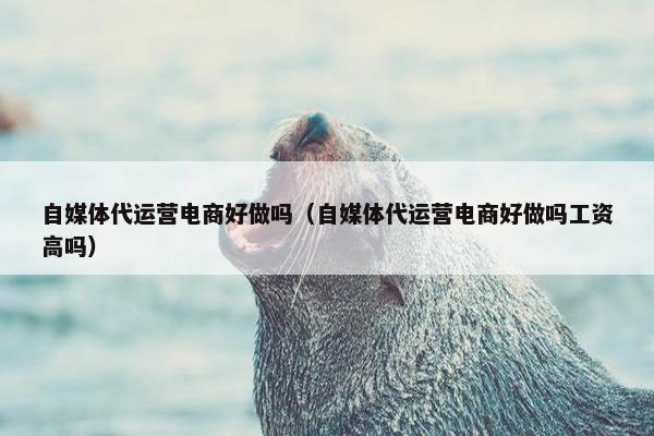 自媒体代运营电商好做吗（自媒体代运营电商好做吗工资高吗）