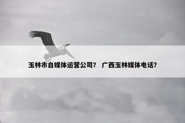 玉林市自媒体运营公司？ 广西玉林媒体电话？