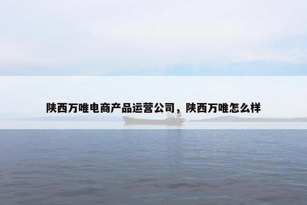 陕西万唯电商产品运营公司，陕西万唯怎么样