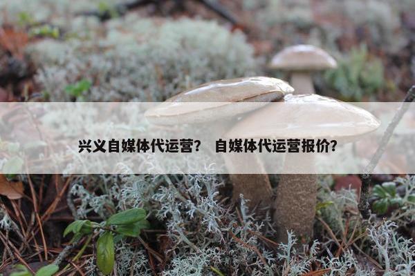 兴义自媒体代运营？ 自媒体代运营报价？