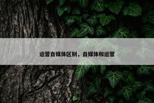 运营自媒体区别，自媒体和运营