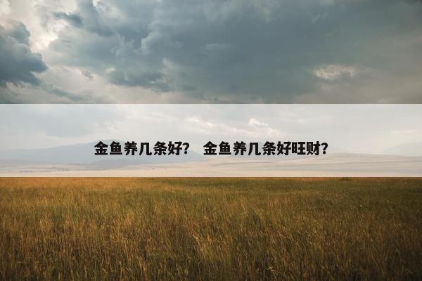 金鱼养几条好？ 金鱼养几条好旺财？