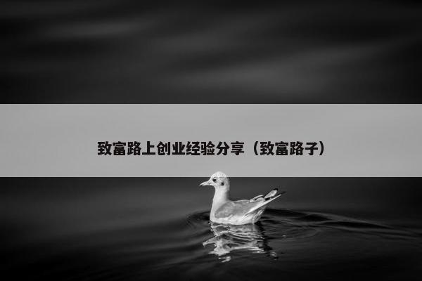 致富路上创业经验分享（致富路子）