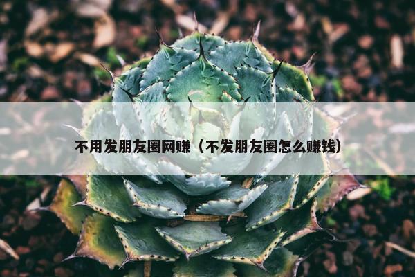 不用发朋友圈网赚（不发朋友圈怎么赚钱）