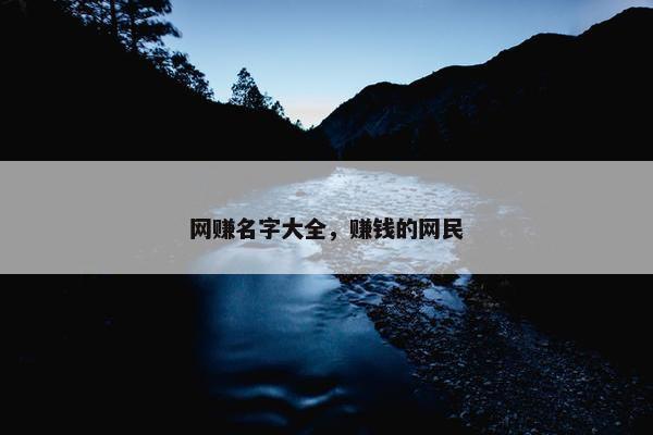网赚名字大全，赚钱的网民