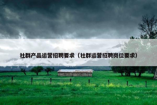 社群产品运营招聘要求（社群运营招聘岗位要求）