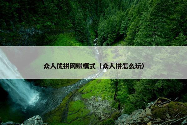 众人优拼网赚模式（众人拼怎么玩）