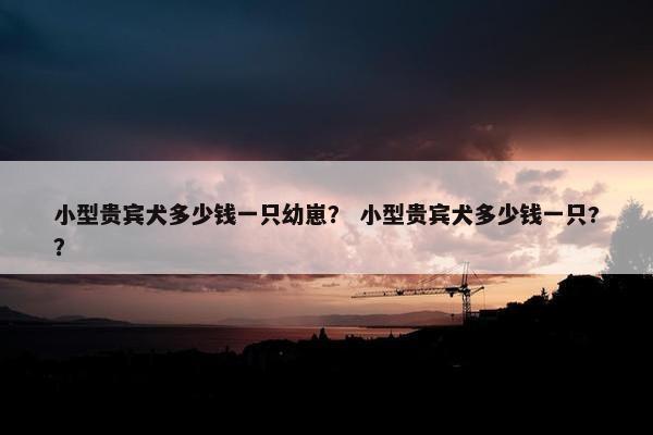 小型贵宾犬多少钱一只幼崽？ 小型贵宾犬多少钱一只?？
