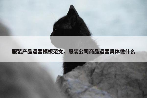 服装产品运营模板范文，服装公司商品运营具体做什么