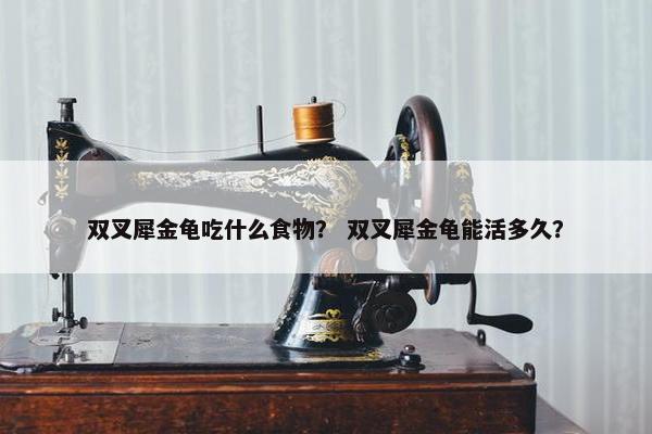 双叉犀金龟吃什么食物？ 双叉犀金龟能活多久？