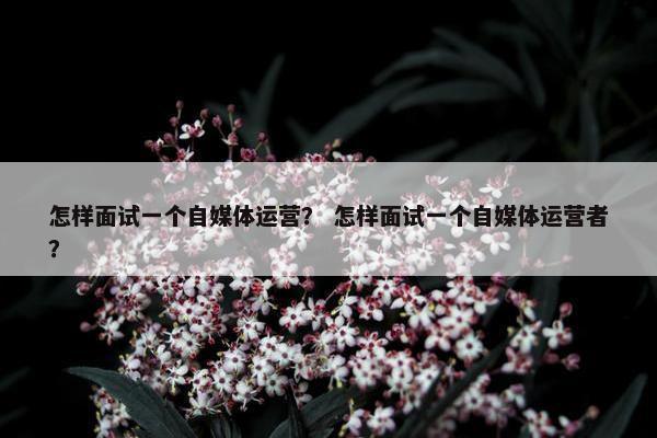 怎样面试一个自媒体运营？ 怎样面试一个自媒体运营者？