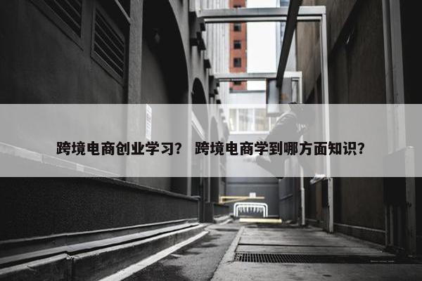 跨境电商创业学习？ 跨境电商学到哪方面知识？