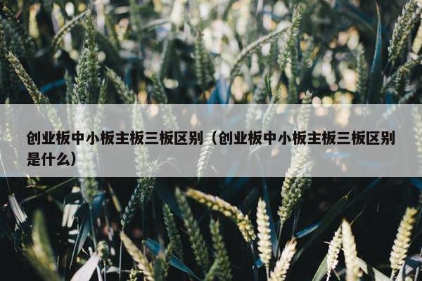 创业板中小板主板三板区别（创业板中小板主板三板区别是什么）