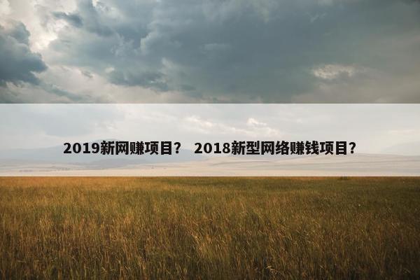 2019新网赚项目？ 2018新型网络赚钱项目？