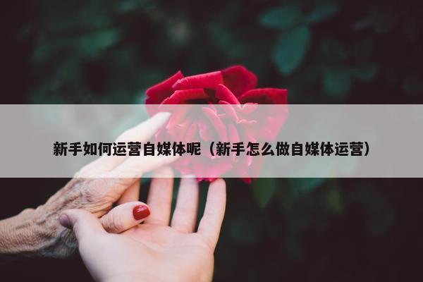 新手如何运营自媒体呢（新手怎么做自媒体运营）