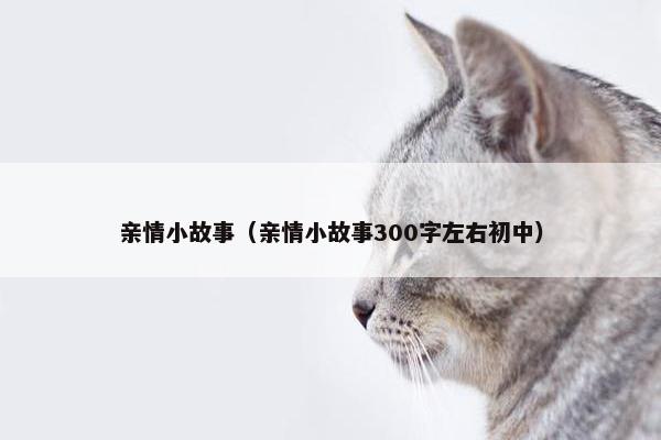 亲情小故事（亲情小故事300字左右初中）