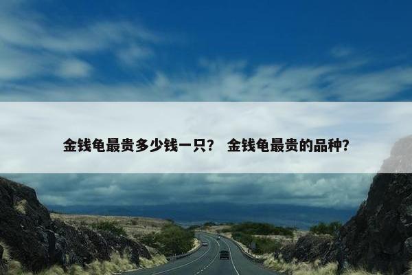 金钱龟最贵多少钱一只？ 金钱龟最贵的品种？