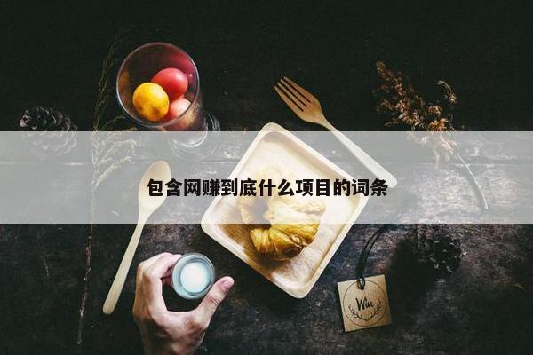 包含网赚到底什么项目的词条