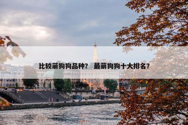 比较萌狗狗品种？ 最萌狗狗十大排名？