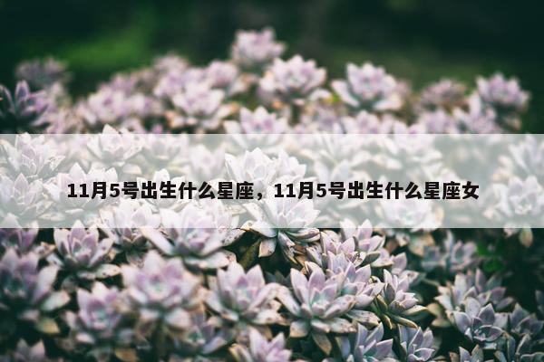 11月5号出生什么星座，11月5号出生什么星座女