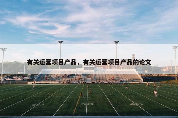 有关运营项目产品，有关运营项目产品的论文