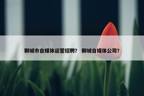 聊城市自媒体运营招聘？ 聊城自媒体公司？