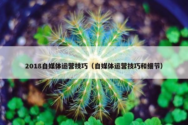 2018自媒体运营技巧（自媒体运营技巧和细节）