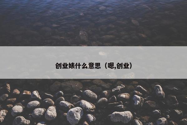 创业婊什么意思（嗯,创业）