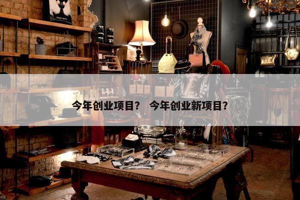 今年创业项目？ 今年创业新项目？