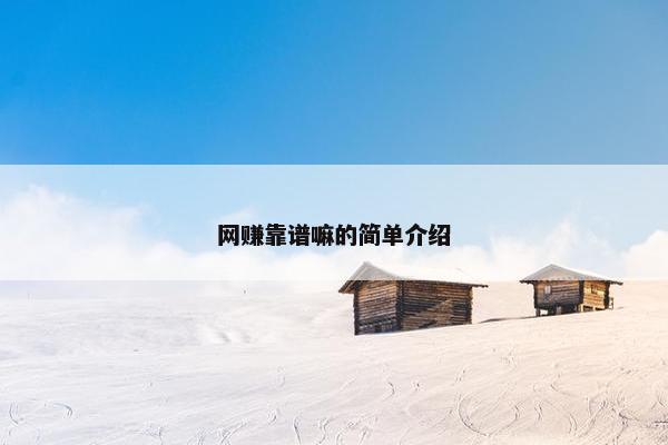 网赚靠谱嘛的简单介绍