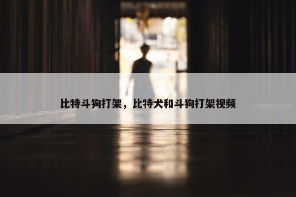 比特斗狗打架，比特犬和斗狗打架视频