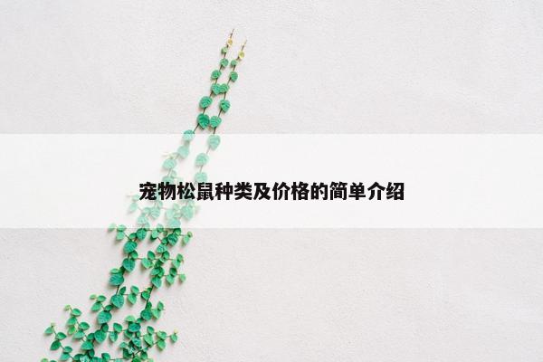 宠物松鼠种类及价格的简单介绍