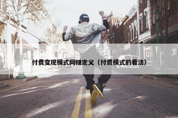 付费变现模式网赚定义（付费模式的看法）