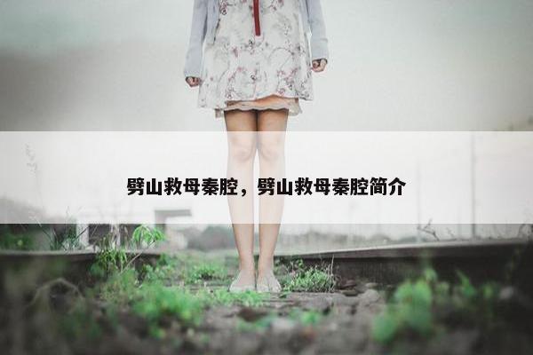 劈山救母秦腔，劈山救母秦腔简介
