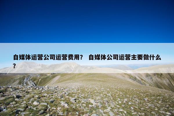 自媒体运营公司运营费用？ 自媒体公司运营主要做什么？