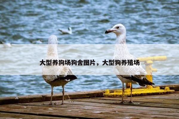大型养狗场狗舍图片，大型狗养殖场