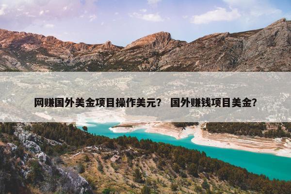 网赚国外美金项目操作美元？ 国外赚钱项目美金？