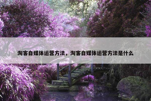 淘客自媒体运营方法，淘客自媒体运营方法是什么