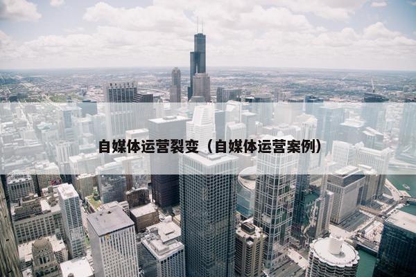 自媒体运营裂变（自媒体运营案例）
