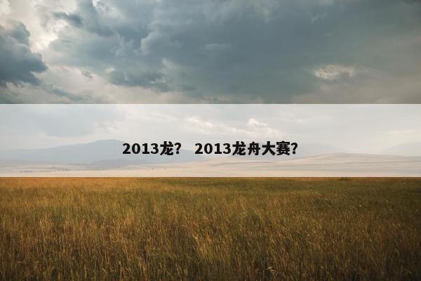 2013龙？ 2013龙舟大赛？