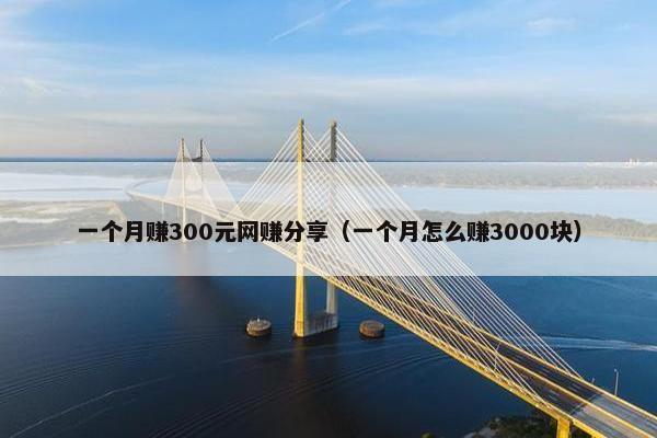 一个月赚300元网赚分享（一个月怎么赚3000块）
