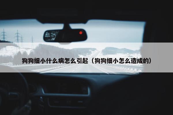 狗狗细小什么病怎么引起（狗狗细小怎么造成的）