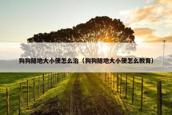 狗狗随地大小便怎么治（狗狗随地大小便怎么教育）