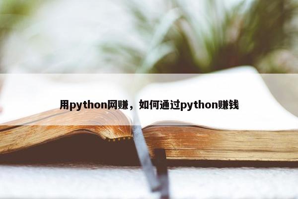 用python网赚，如何通过python赚钱