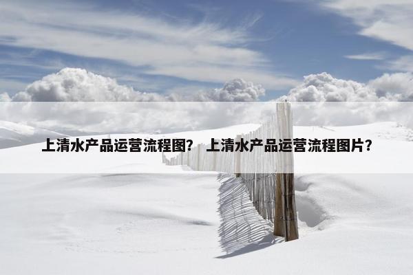 上清水产品运营流程图？ 上清水产品运营流程图片？